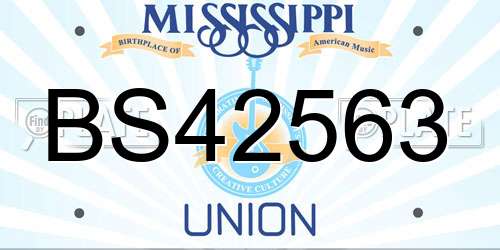 BS42563 Mississippi License Plate