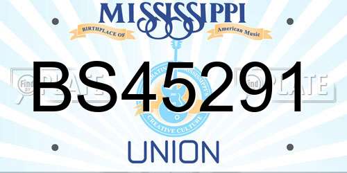BS45291 Mississippi License Plate
