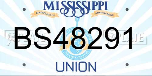 BS48291 Mississippi License Plate