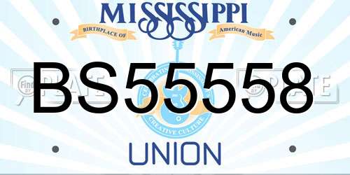 BS55558 Mississippi License Plate