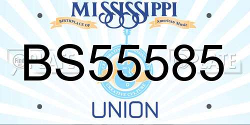 BS55585 Mississippi License Plate