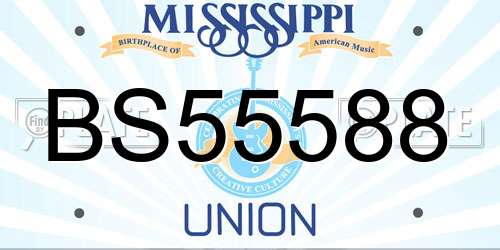 BS55588 Mississippi License Plate