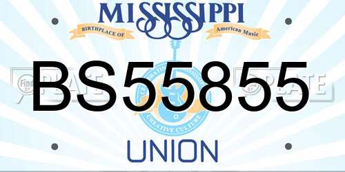 BS55855 Mississippi License Plate