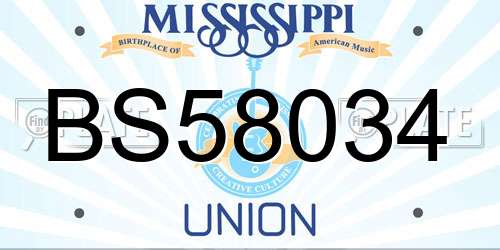 BS58034 Mississippi License Plate