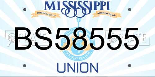 BS58555 Mississippi License Plate