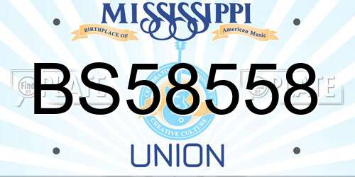 BS58558 Mississippi License Plate