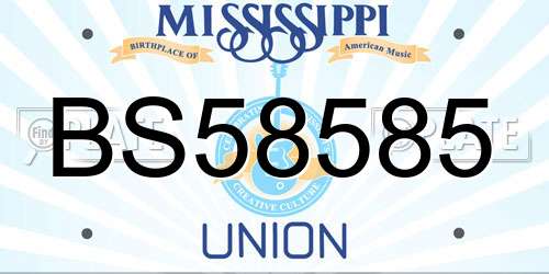 BS58585 Mississippi License Plate