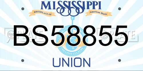 BS58855 Mississippi License Plate