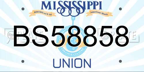 BS58858 Mississippi License Plate