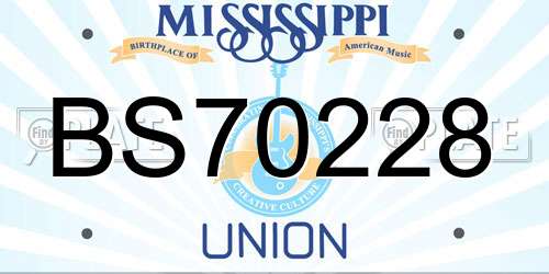 BS70228 Mississippi License Plate