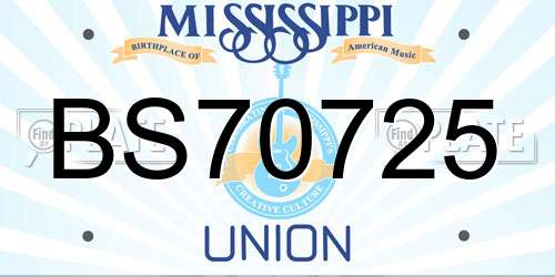 BS70725 Mississippi License Plate