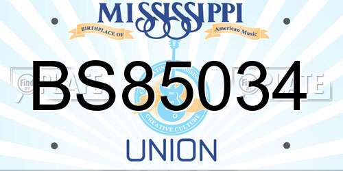 BS85034 Mississippi License Plate