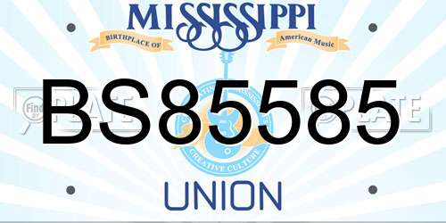 BS85585 Mississippi License Plate
