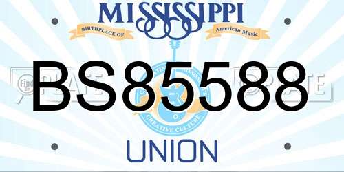 BS85588 Mississippi License Plate