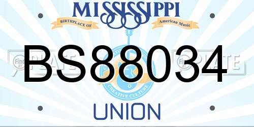 BS88034 Mississippi License Plate