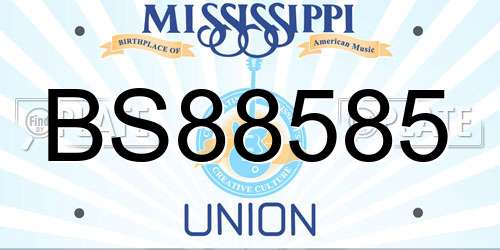 BS88585 Mississippi License Plate