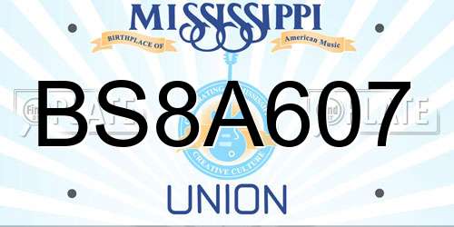 BS8A607 Mississippi License Plate
