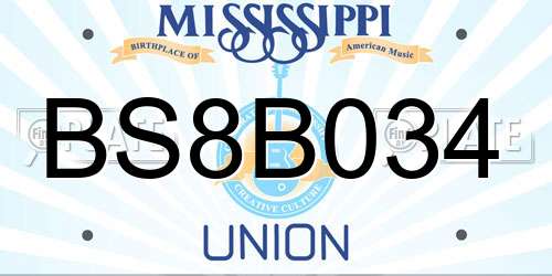 BS8B034 Mississippi License Plate