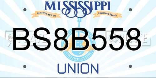 BS8B558 Mississippi License Plate