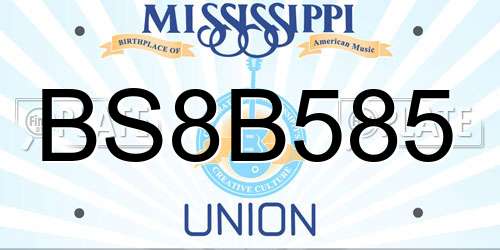 BS8B585 Mississippi License Plate
