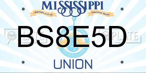 BS8E5D Mississippi License Plate