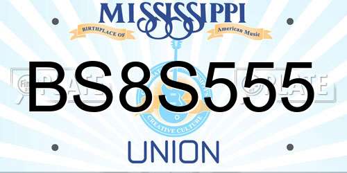 BS8S555 Mississippi License Plate