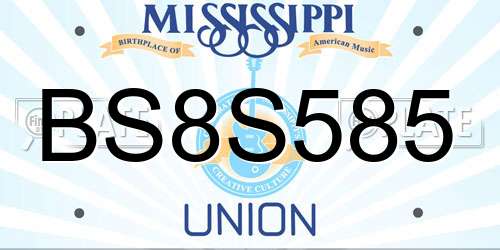BS8S585 Mississippi License Plate