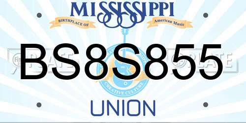 BS8S855 Mississippi License Plate