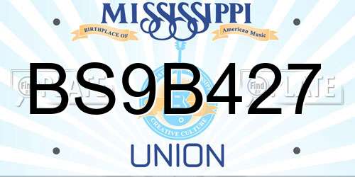 BS9B427 Mississippi License Plate
