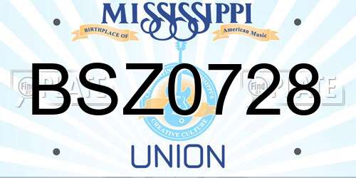 BSZ0728 Mississippi License Plate