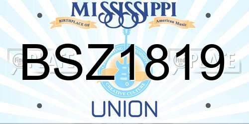 BSZ1819 Mississippi License Plate