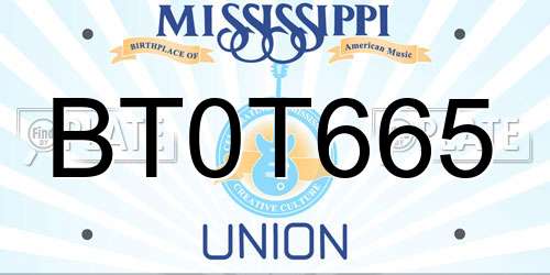 BT0T665 Mississippi License Plate
