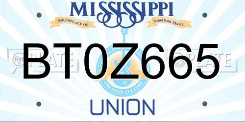 BT0Z665 Mississippi License Plate