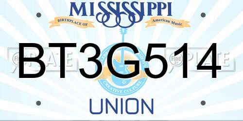 BT3G514 Mississippi License Plate