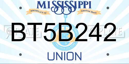 BT5B242 Mississippi License Plate