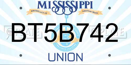BT5B742 Mississippi License Plate