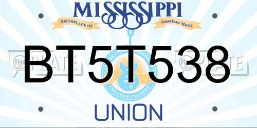 BT5T538 Mississippi License Plate