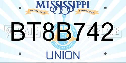 BT8B742 Mississippi License Plate