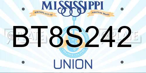 BT8S242 Mississippi License Plate