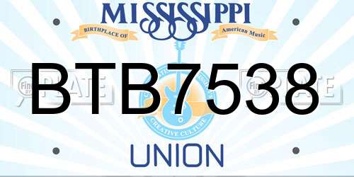 BTB7538 Mississippi License Plate