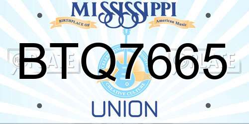 BTQ7665 Mississippi License Plate