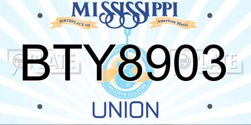 BTY8903 Mississippi License Plate