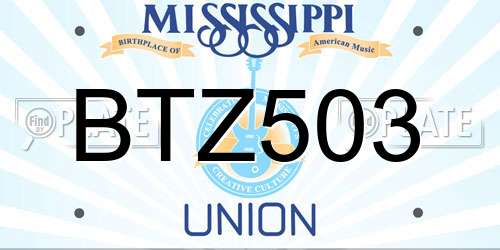 BTZ503 Mississippi License Plate