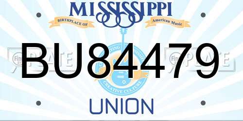 BU84479 Mississippi License Plate