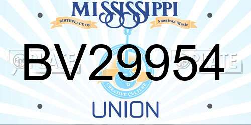 BV29954 Mississippi License Plate