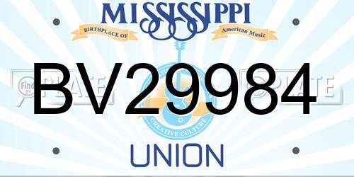 BV29984 Mississippi License Plate