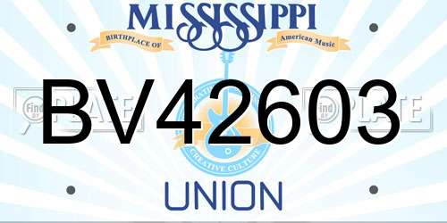 BV42603 Mississippi License Plate
