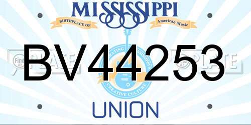 BV44253 Mississippi License Plate