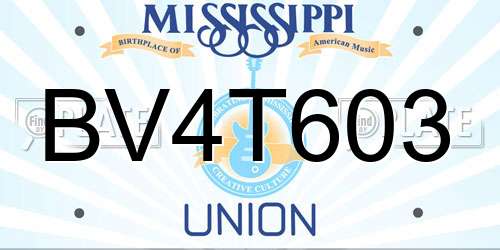 BV4T603 Mississippi License Plate