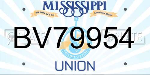 BV79954 Mississippi License Plate